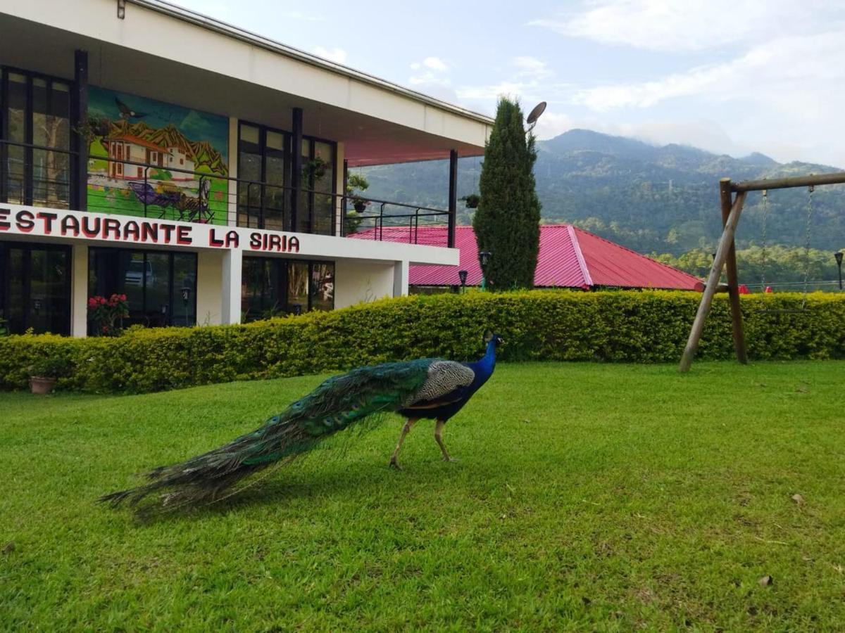 Hotel & Restaurante Campestre La Siria San Juan de Rioseco Екстериор снимка